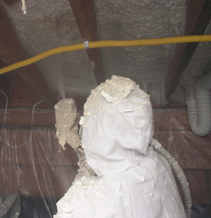 Beaumont TX crawl space insulation
